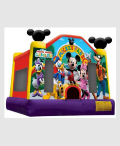 Mickeys Park Jumper-Premium