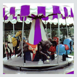 Mechanical Ride Rental